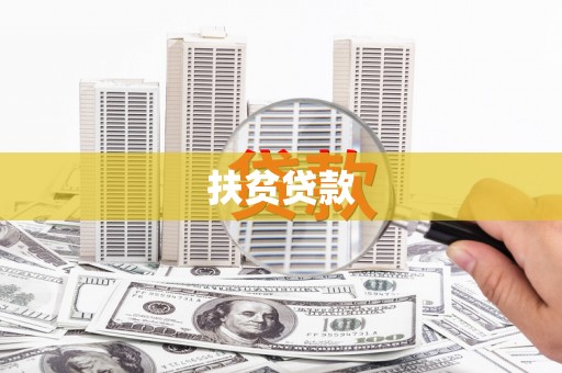 东丽扶贫贷款