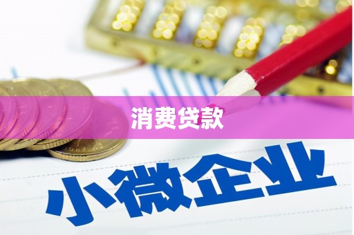 东丽消费贷款