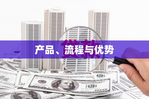 东丽产品、流程与优势