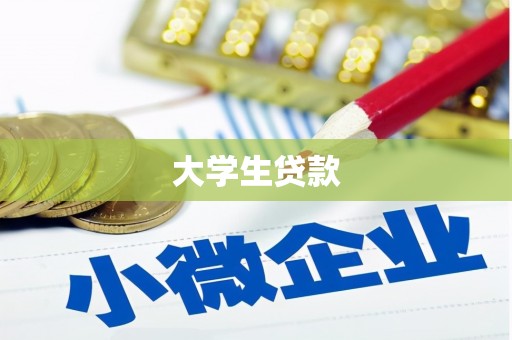 东丽大学生贷款