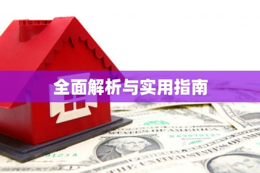 东丽全面解析与实用指南