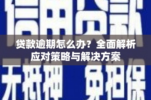 东丽贷款逾期怎么办？全面解析应对策略与解决方案