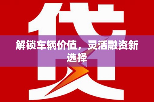 东丽解锁车辆价值，灵活融资新选择