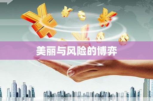 东丽美丽与风险的博弈