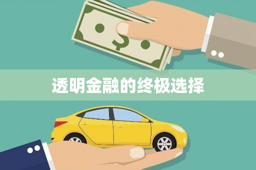 东丽透明金融的终极选择