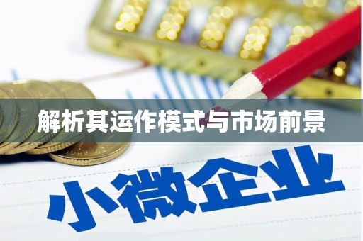 东丽解析其运作模式与市场前景