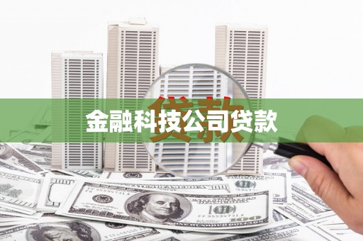 东丽金融科技公司贷款