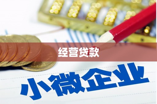 东丽经营贷款
