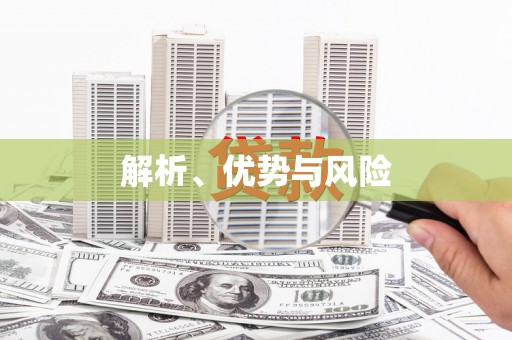 东丽解析、优势与风险