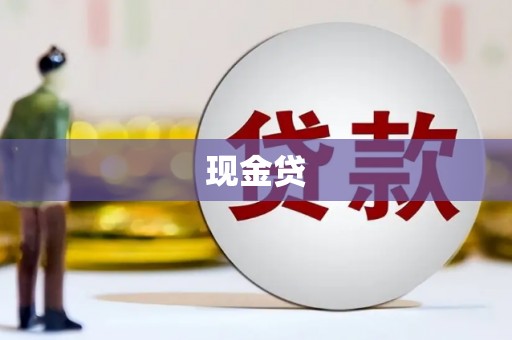东丽现金贷