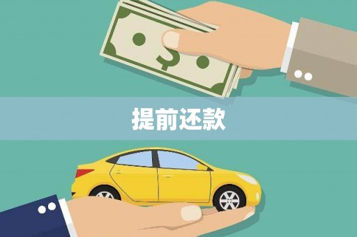 东丽提前还款