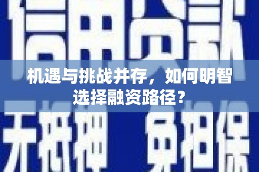 东丽机遇与挑战并存，如何明智选择融资路径？