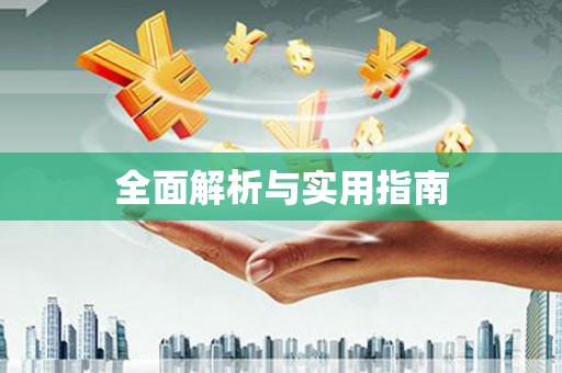 东丽全面解析与实用指南