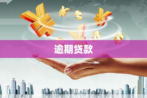 东丽逾期贷款