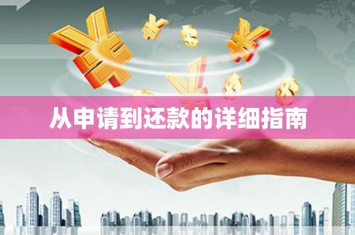 东丽从申请到还款的详细指南