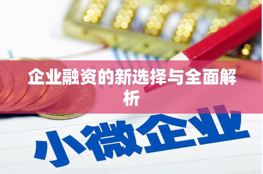 东丽企业融资的新选择与全面解析