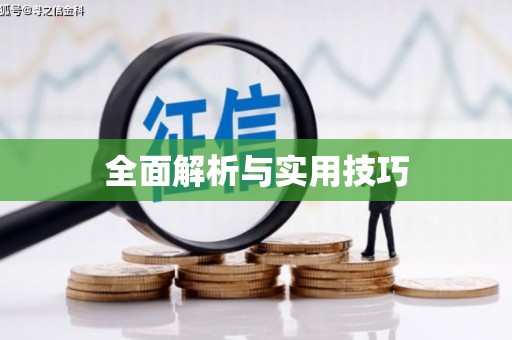 东丽全面解析与实用技巧