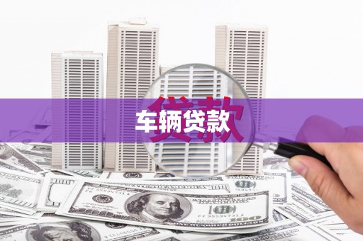 东丽车辆贷款