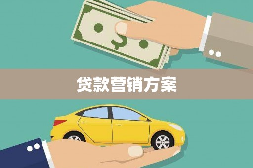东丽贷款营销方案