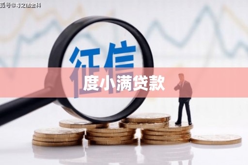 东丽度小满贷款