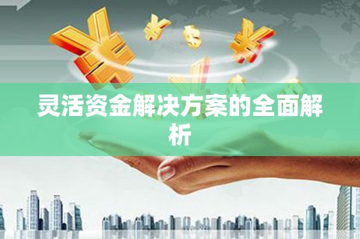 东丽灵活资金解决方案的全面解析