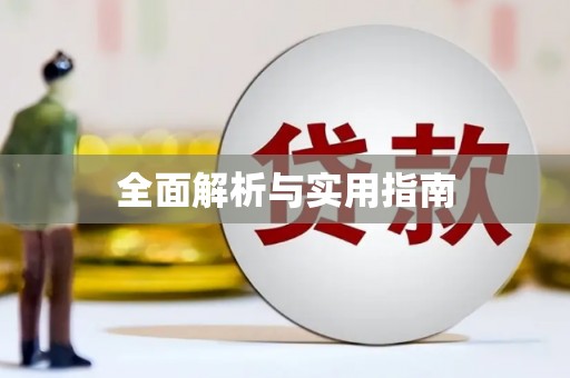 东丽全面解析与实用指南