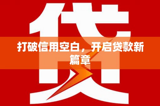 东丽打破信用空白，开启贷款新篇章