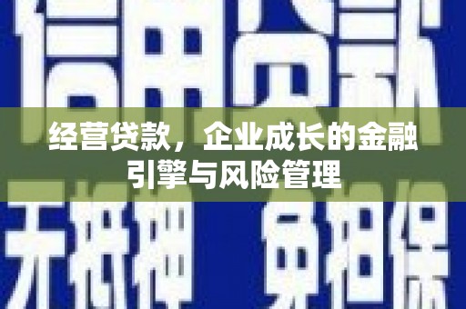东丽经营贷款，企业成长的金融引擎与风险管理