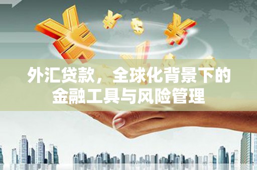 东丽外汇贷款，全球化背景下的金融工具与风险管理