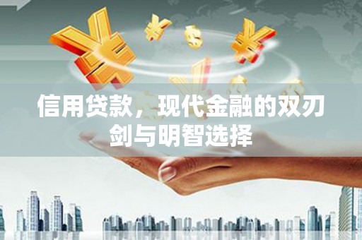 东丽信用贷款，现代金融的双刃剑与明智选择