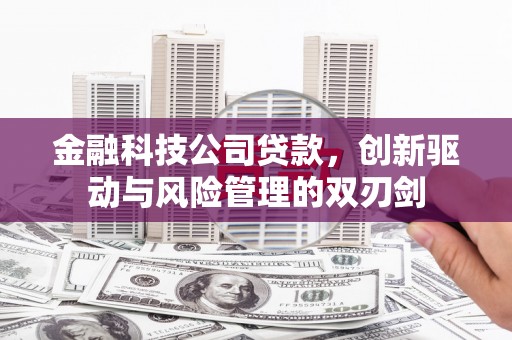 东丽金融科技公司贷款，创新驱动与风险管理的双刃剑