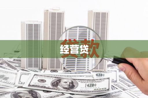 东丽经营贷