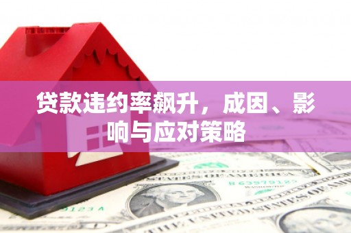 东丽贷款违约率飙升，成因、影响与应对策略