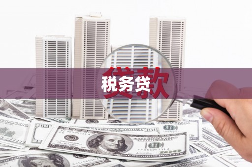 东丽税务贷