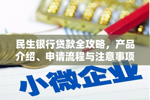 东丽民生银行贷款全攻略，产品介绍、申请流程与注意事项